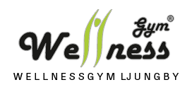Wellnessgym